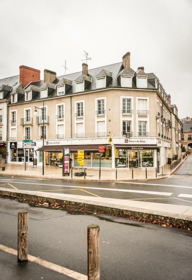 ブロワLes Lumieres De La Loireアパートメント エクステリア 写真